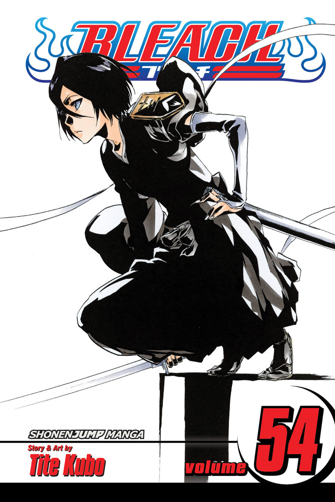 Bleach Manga