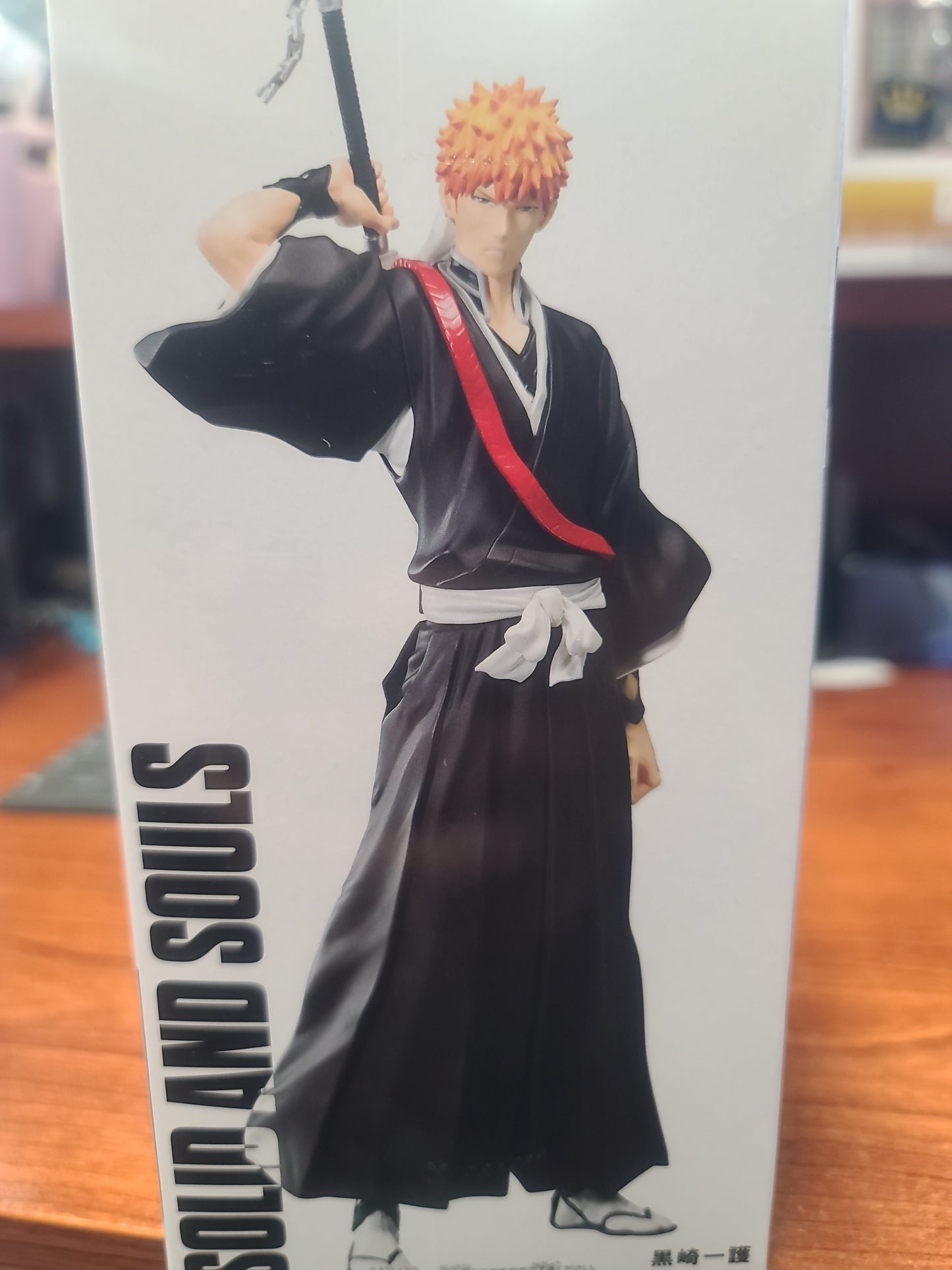 Bleach Solid and Souls Ichigo Kurosaki