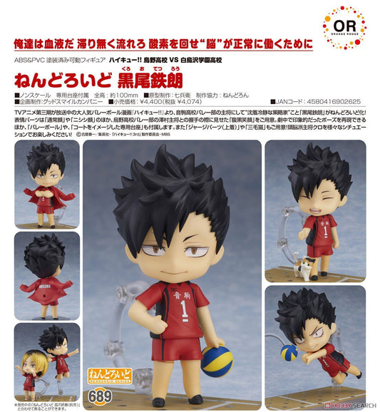 Haikyu!! Tetsuro Kuroo Nendoroid